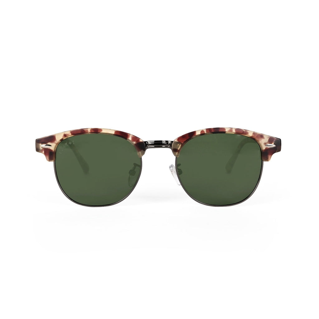 CM | Tortoise